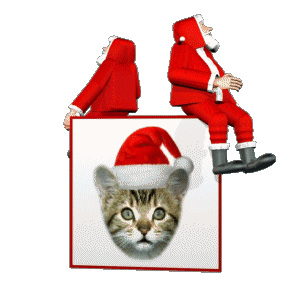 Animated santas sitting on a kitten cube