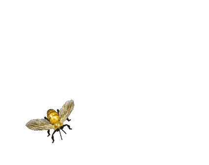 Animated bee