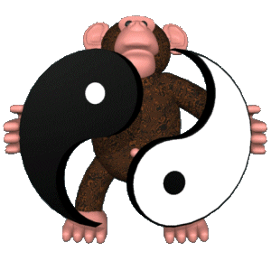 Animated monkey with yin yang 3D gif