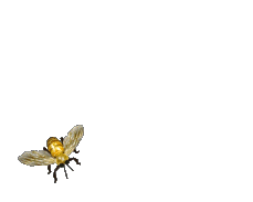 Little bee flying in a circle