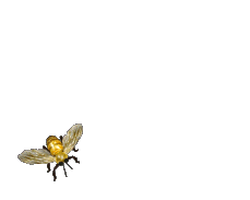 Animated bee, 3D gif animation