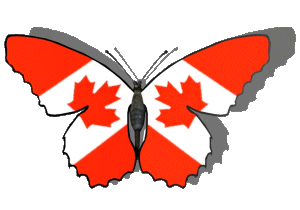 Animated Canada butterfly gif