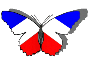 French butterfly gif animation