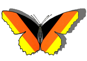 Animated butterfly with German flag wings