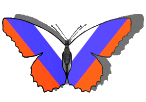 Russianbutt animated butterfly