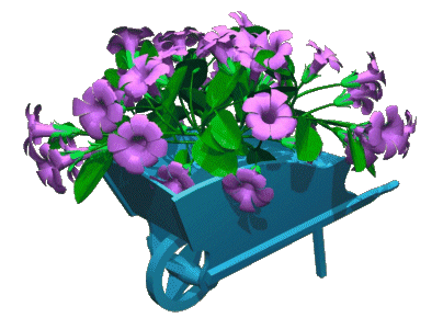 wheel-barrow-flowers.gif