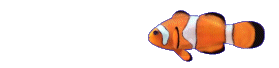 Animated clown fish, 3D animated gif