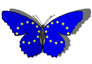 European butterfly