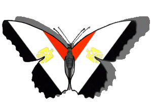Butterfly animation with Egypt national flag